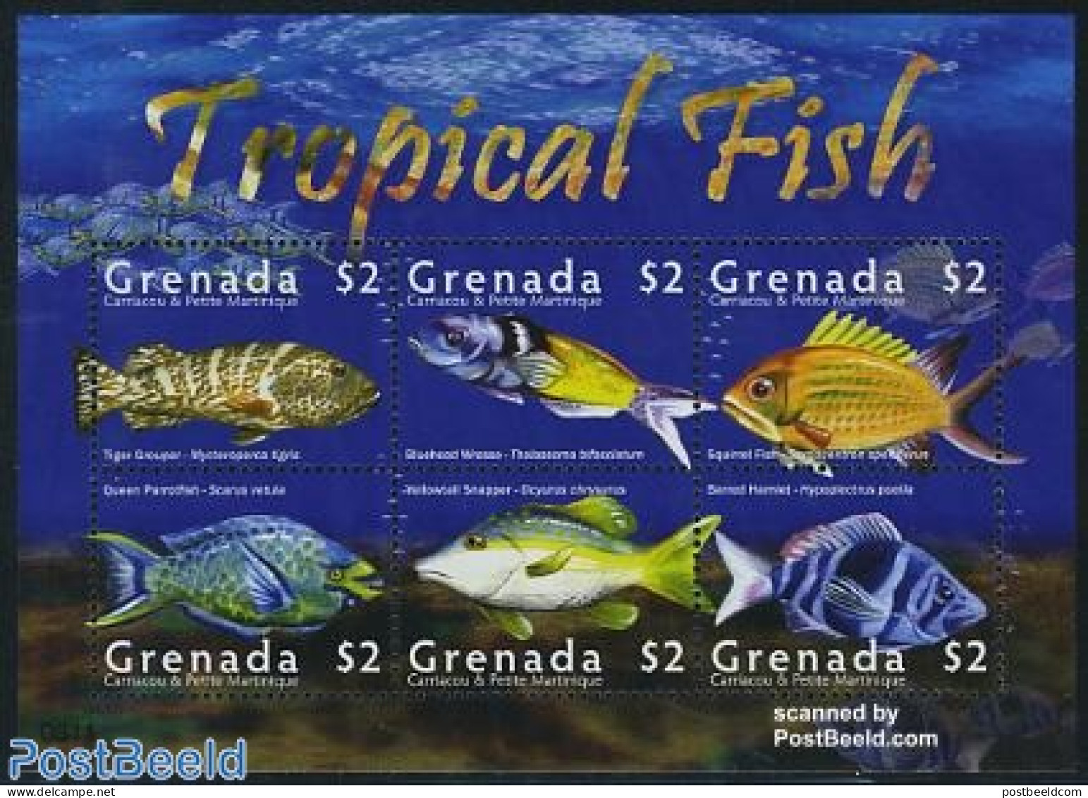 Grenada Grenadines 2008 Tropical Fish 6v M/s, Mint NH, Nature - Fish - Fishes