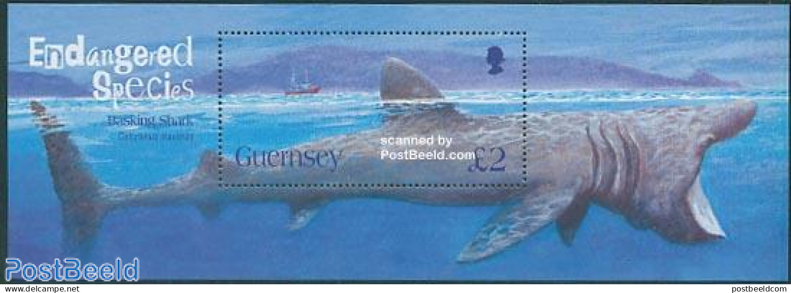Guernsey 2005 Basking Shark S/s, Mint NH, Nature - Transport - Fish - Ships And Boats - Sharks - Poissons