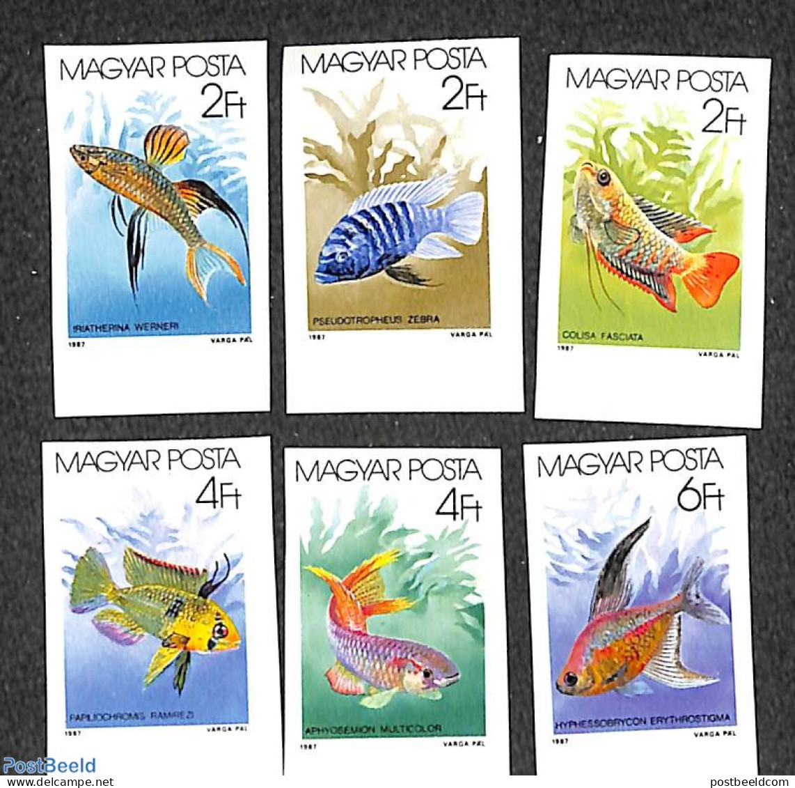 Hungary 1987 Tropical Fish 6v Imperforated, Mint NH, Nature - Fish - Unused Stamps