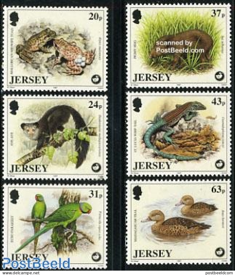 Jersey 1997 Animals 6v, Mint NH, Nature - Animals (others & Mixed) - Birds - Ducks - Frogs & Toads - Parrots - Reptiles - Jersey