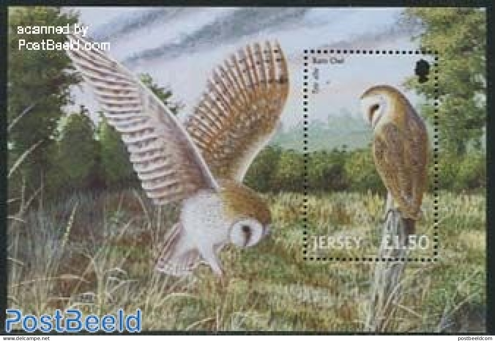 Jersey 2001 Barn Owl S/s, Mint NH, Nature - Birds - Birds Of Prey - Owls - Jersey