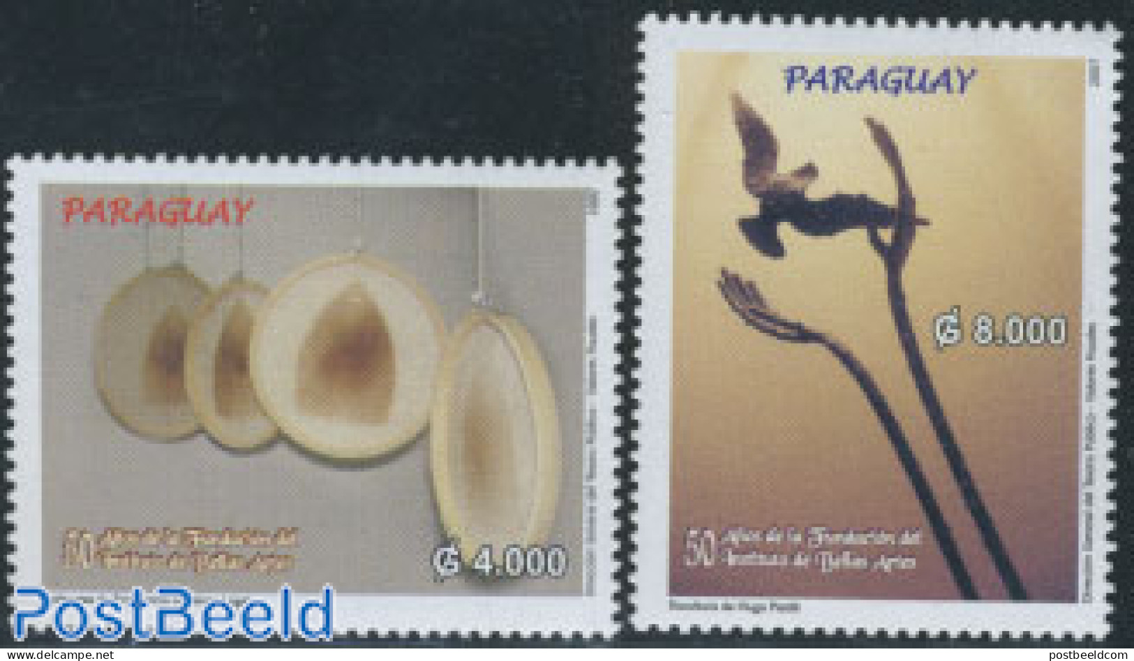 Paraguay 2007 Art 2v, Mint NH, Nature - Birds - Paraguay