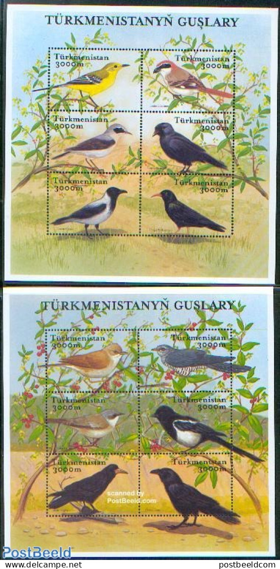 Turkmenistan 2002 Birds 2x6v M/s, Mint NH, Nature - Birds - Turkménistan