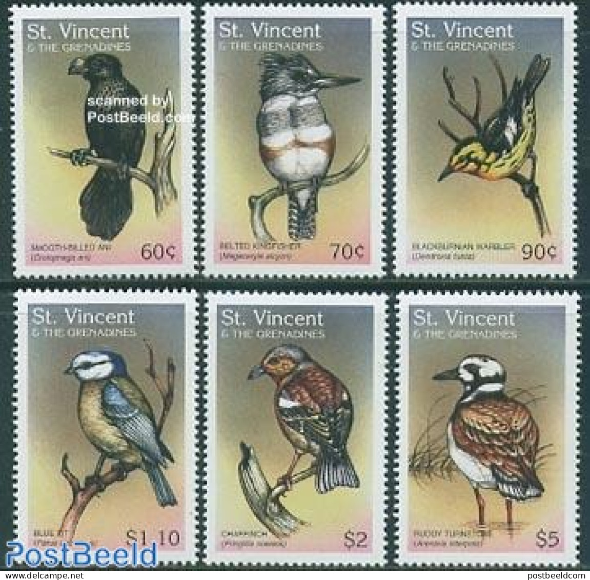 Saint Vincent 1997 Birds 6v, Mint NH, Nature - Birds - St.Vincent (1979-...)