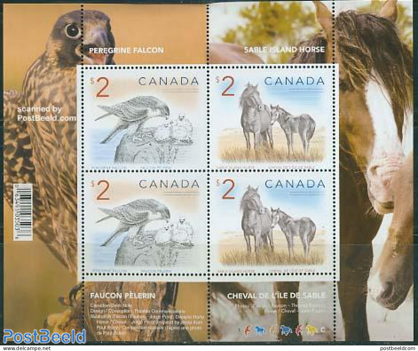 Canada 2005 Falcon & Horse S/s, Mint NH, Nature - Birds - Birds Of Prey - Horses - Neufs