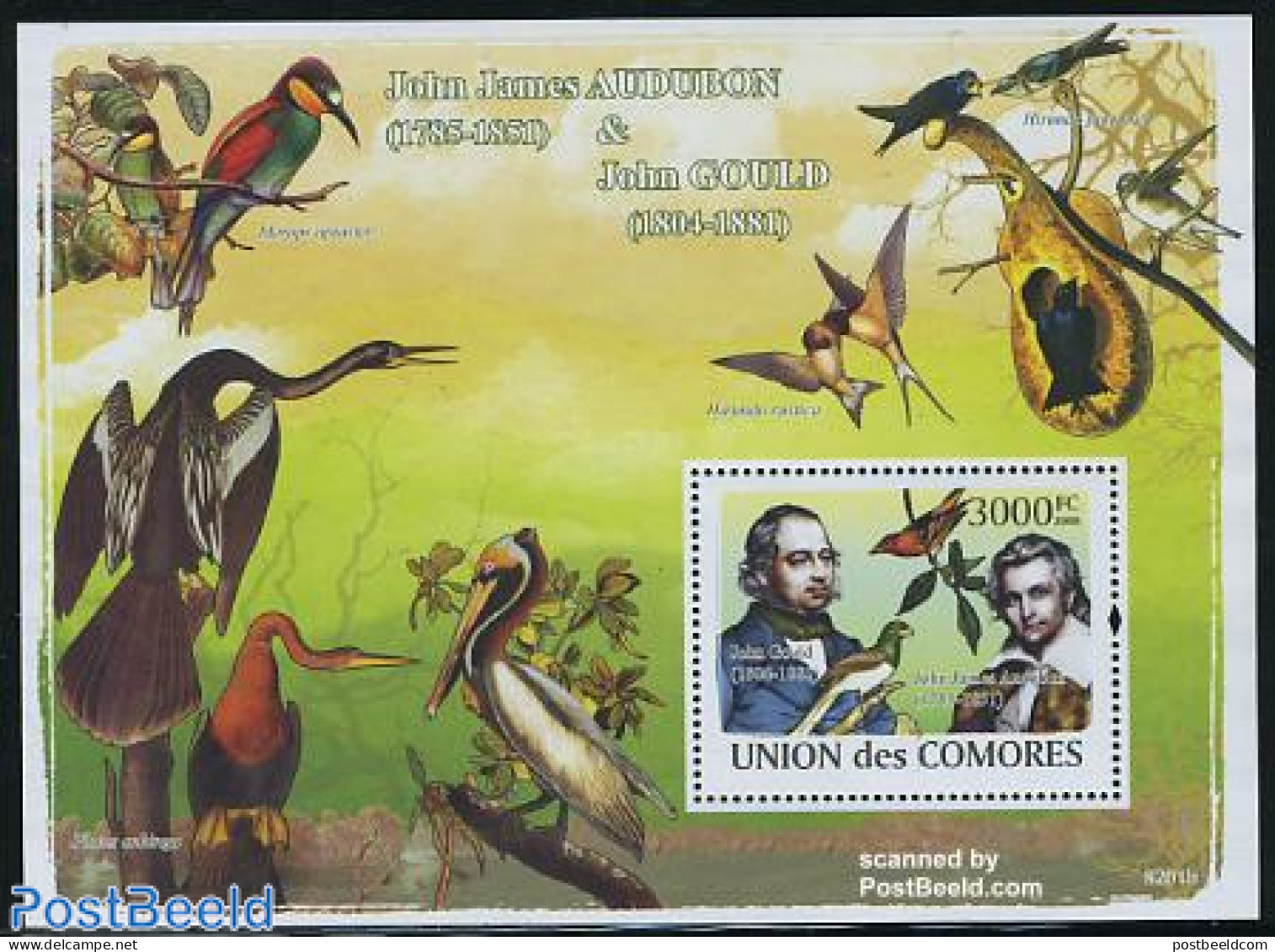 Comoros 2008 Audubon & Gould S/s, Mint NH, Nature - Birds - Comoros
