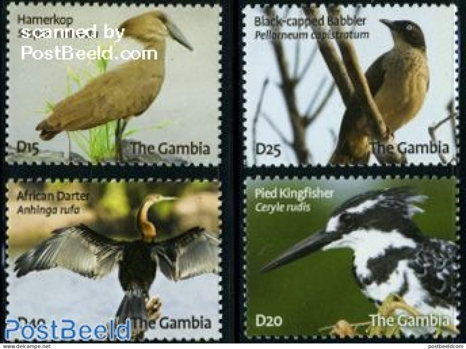 Gambia 2009 Birds 4v, Mint NH, Nature - Birds - Gambie (...-1964)
