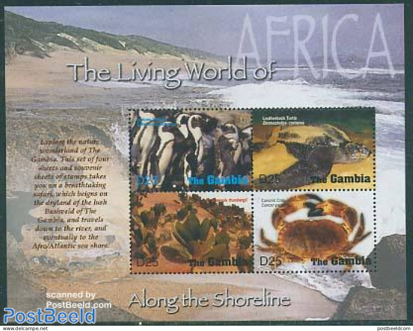 Gambia 2005 Along The Shoreline 4v M/s, Penguin, Mint NH, Nature - Animals (others & Mixed) - Birds - Penguins - Repti.. - Gambia (...-1964)