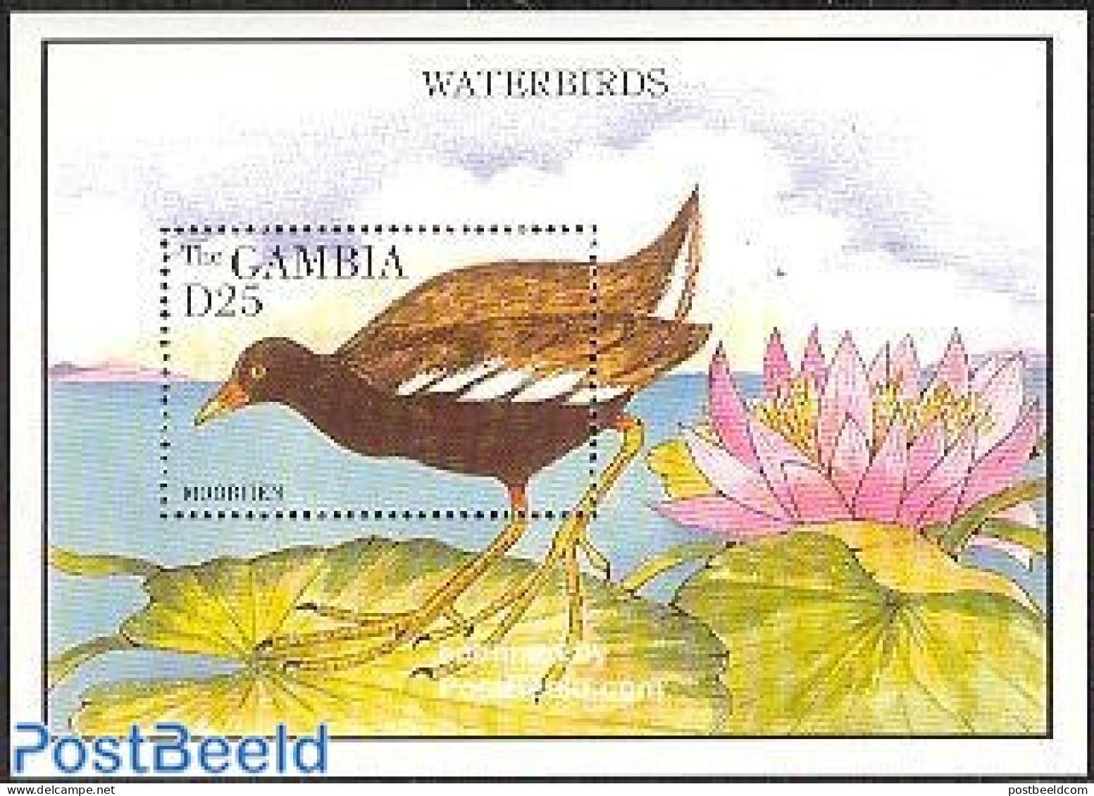 Gambia 1995 Moorhen S/s, Mint NH, Nature - Birds - Ducks - Gambia (...-1964)