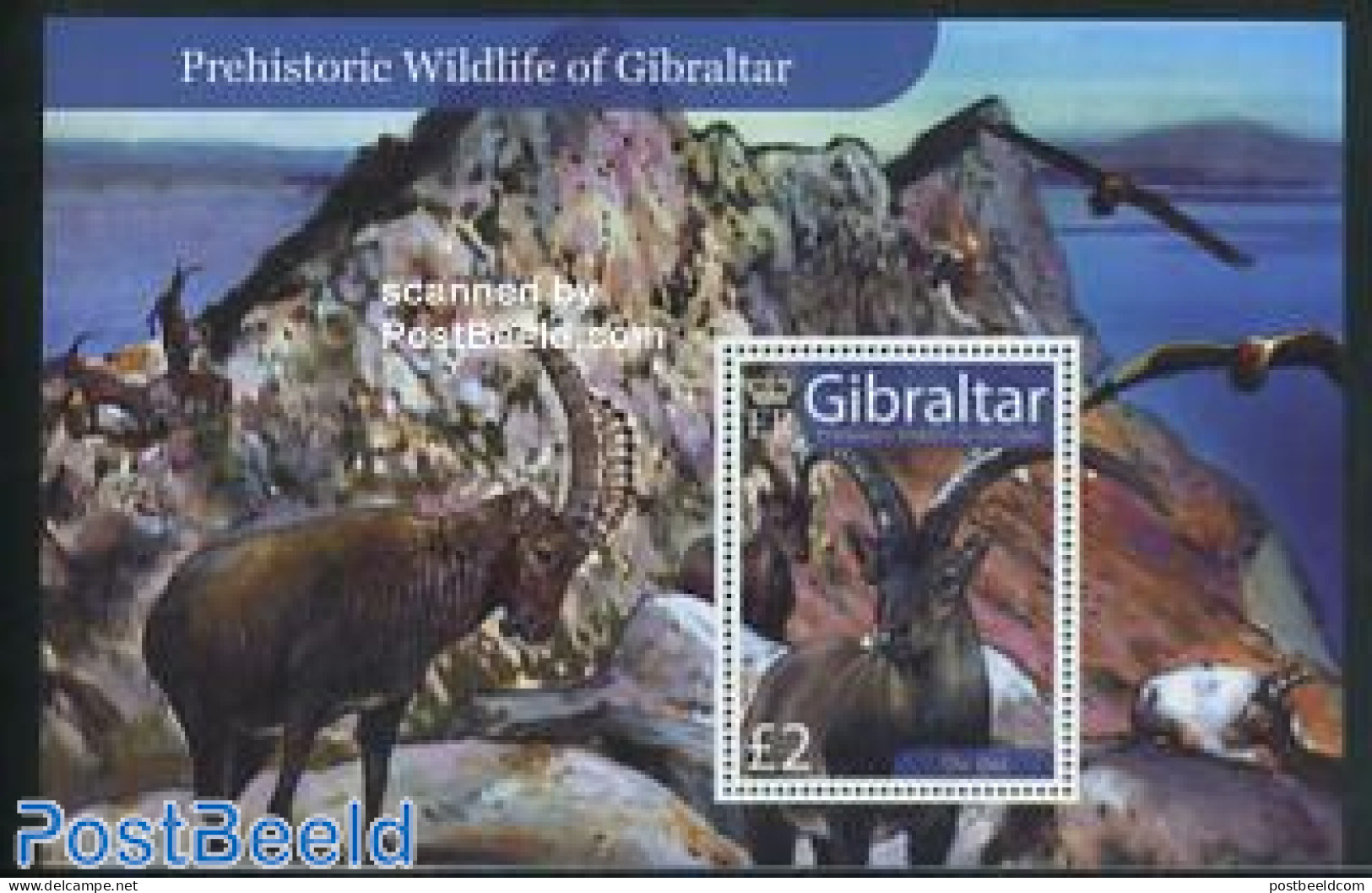Gibraltar 2007 Animals In History S/s, Mint NH, Nature - Animals (others & Mixed) - Birds - Gibraltar
