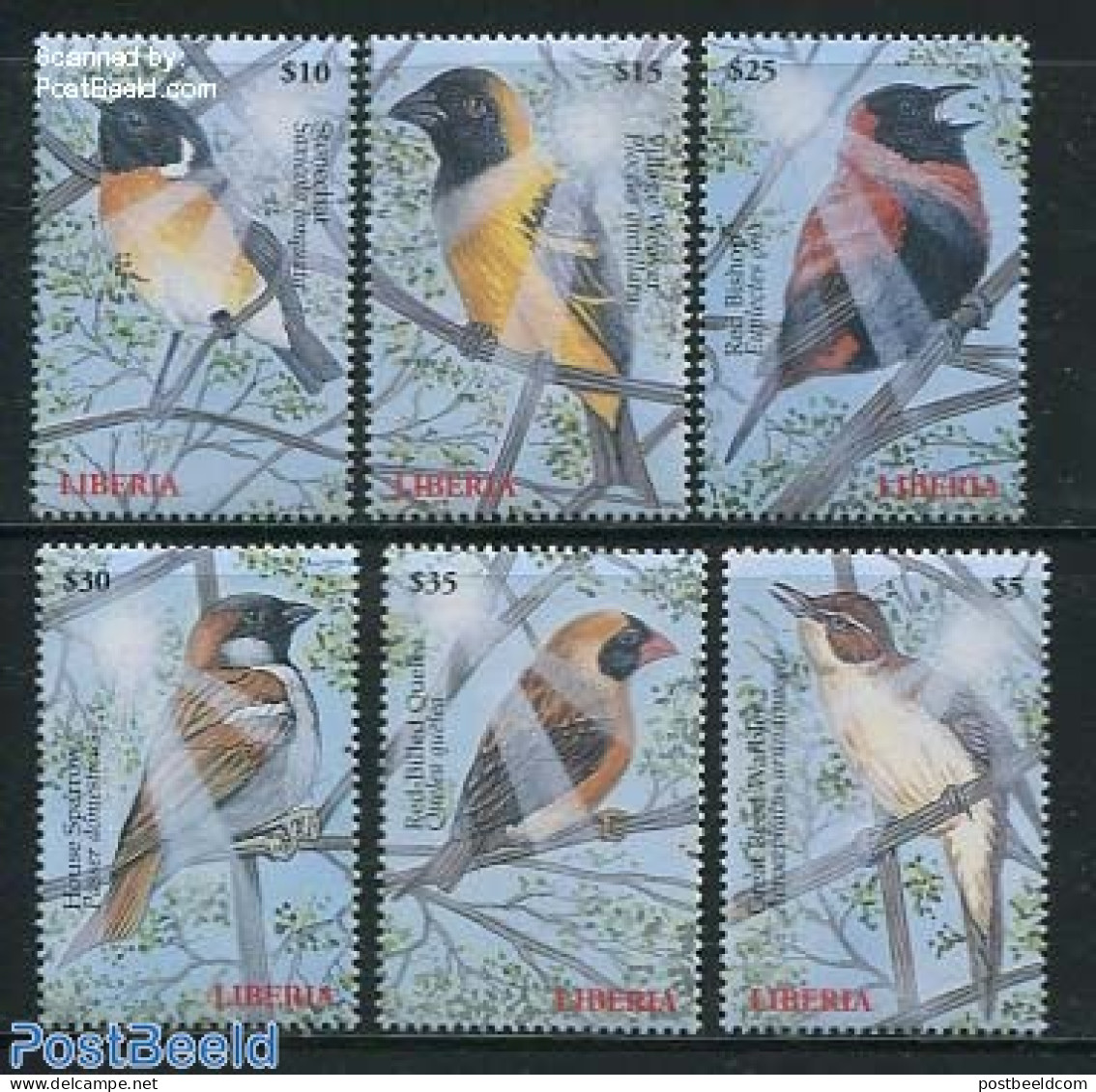 Liberia 2000 Birds  6v, Mint NH, Nature - Birds - Other & Unclassified
