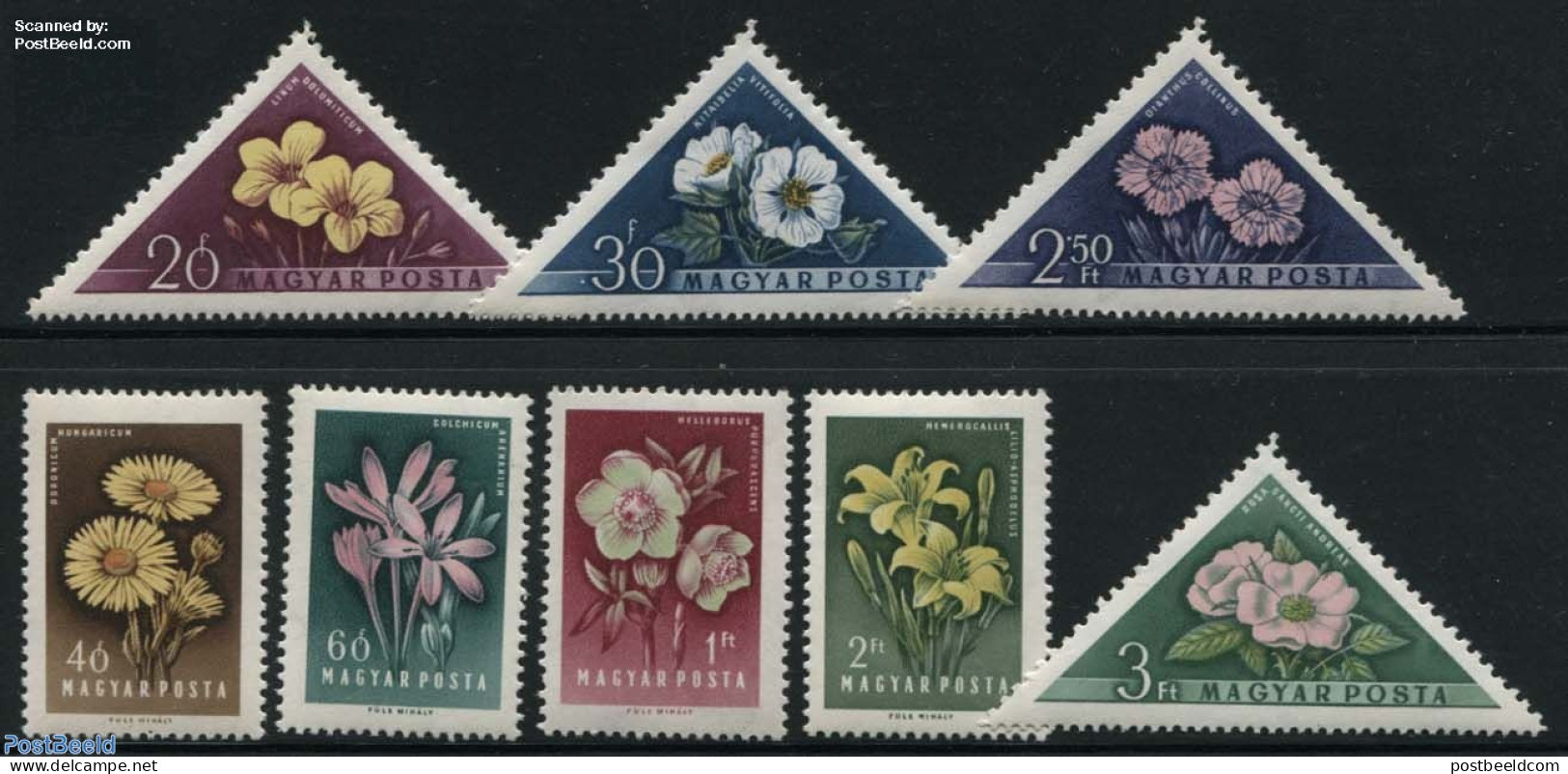 Hungary 1958 Flowers 8v, Mint NH, Nature - Flowers & Plants - Unused Stamps