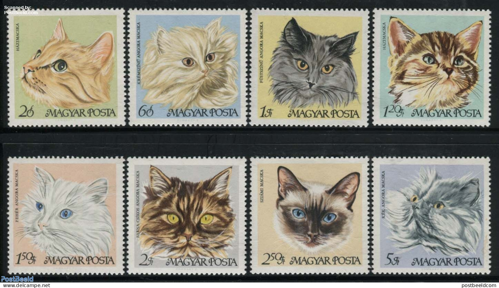 Hungary 1968 Cats 8v, Mint NH, Nature - Cats - Ungebraucht