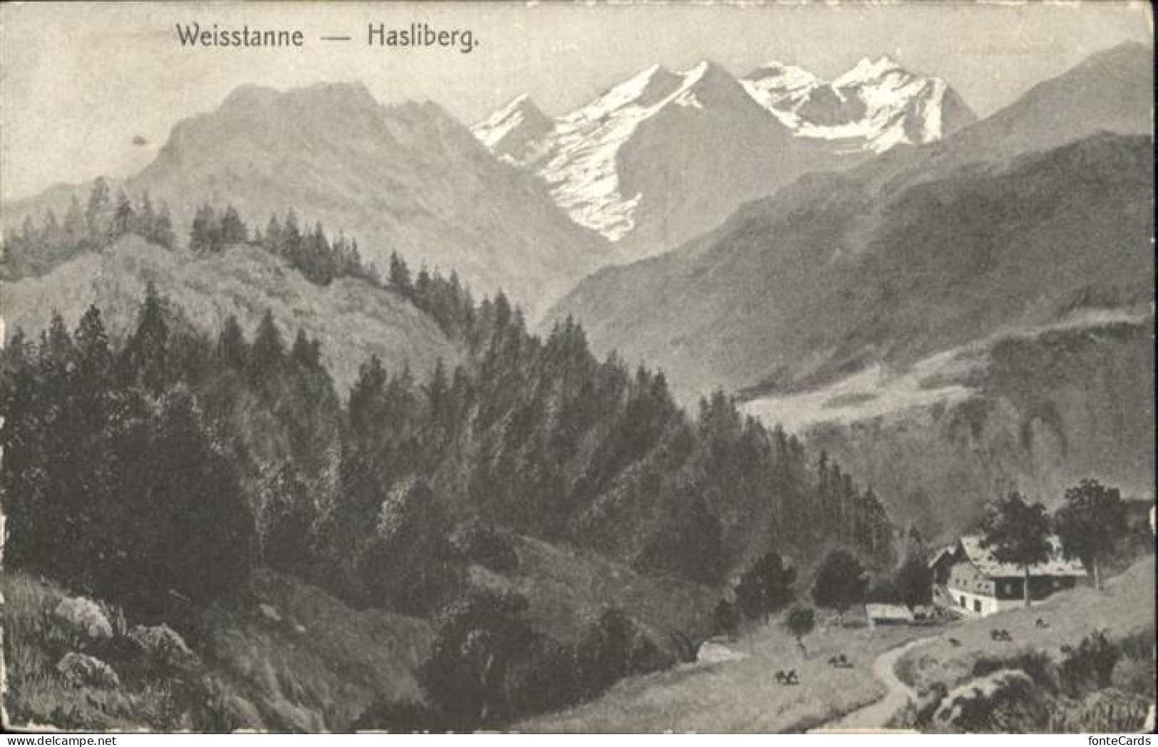 11026904 Hasliberg Weisstanne - Sonstige & Ohne Zuordnung