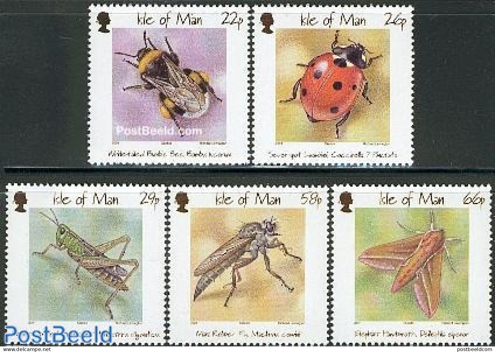 Isle Of Man 2001 Insects 5v, Mint NH, Nature - Bees - Butterflies - Insects - Isle Of Man