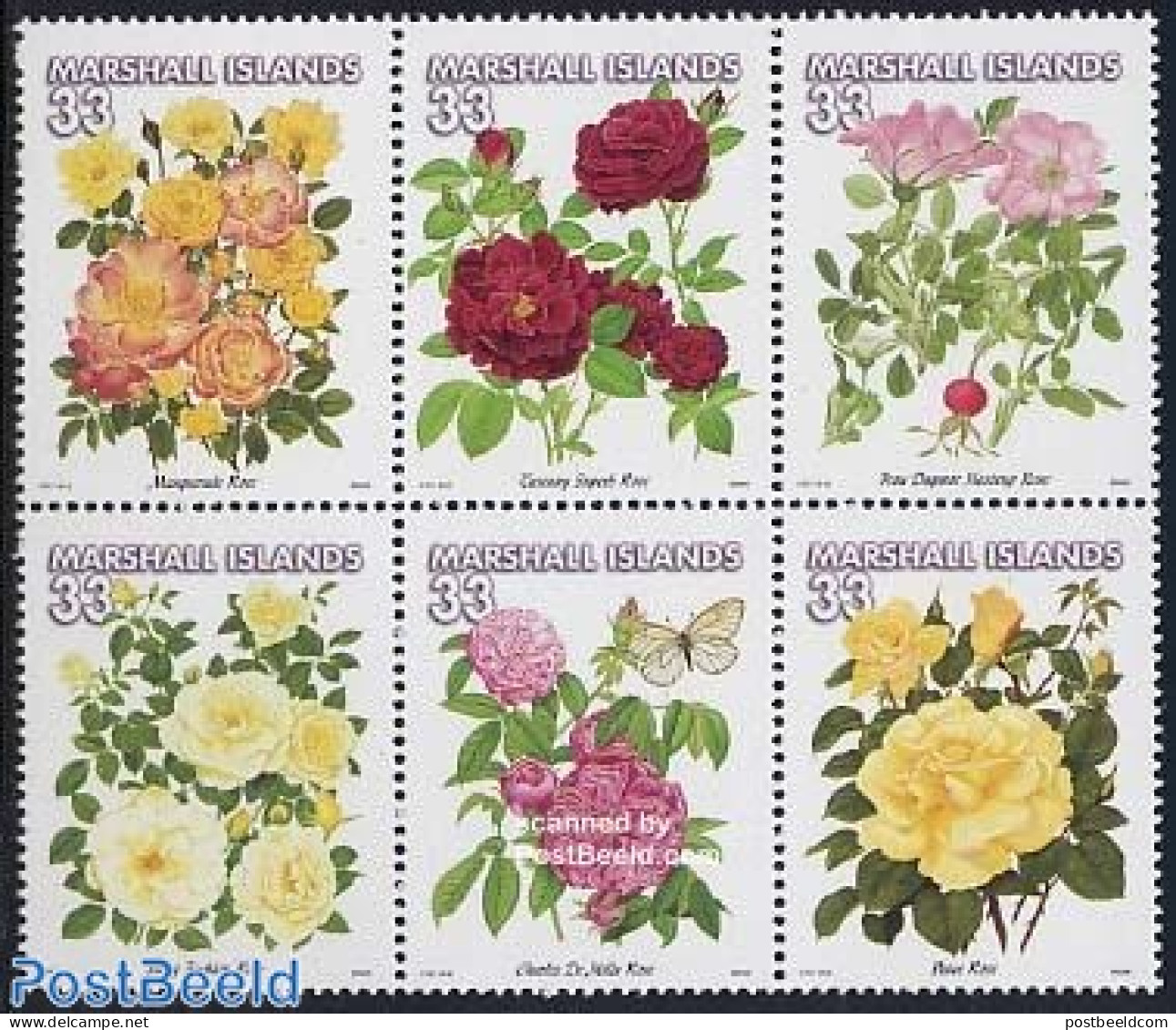 Marshall Islands 2000 Roses 6v [++], Mint NH, Nature - Flowers & Plants - Roses - Other & Unclassified