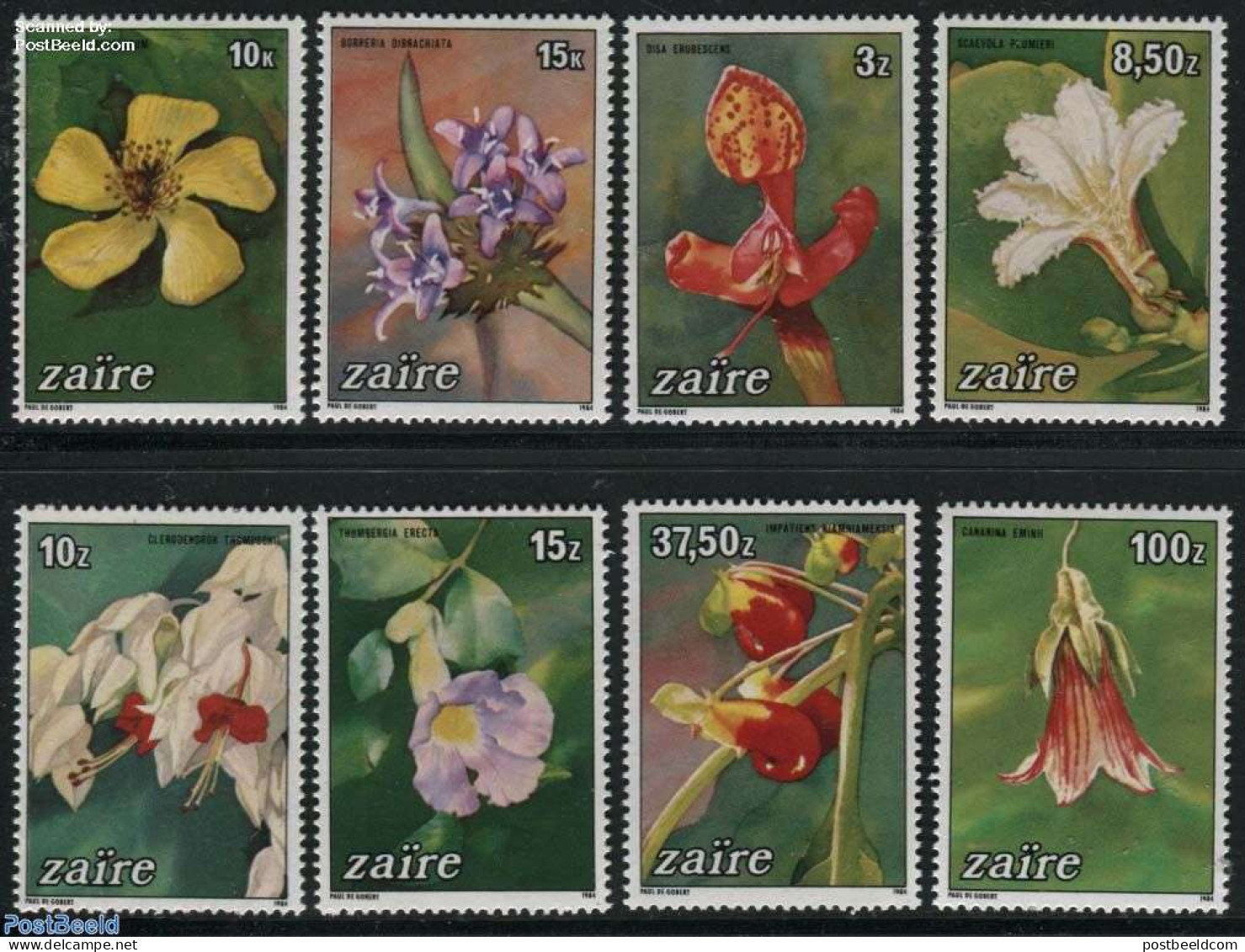 Congo Dem. Republic, (zaire) 1984 Flowers 8v, Mint NH, Nature - Flowers & Plants - Orchids - Other & Unclassified