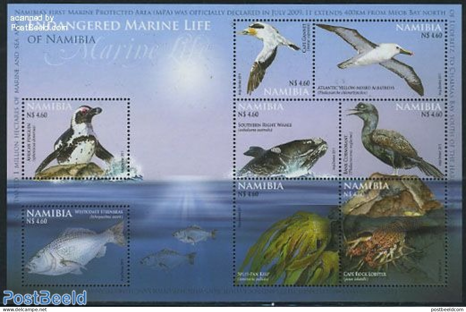 Namibia 2011 Endangered Marine Life 8v M/s, Mint NH, Nature - Birds - Fish - Penguins - Sea Mammals - Fishes
