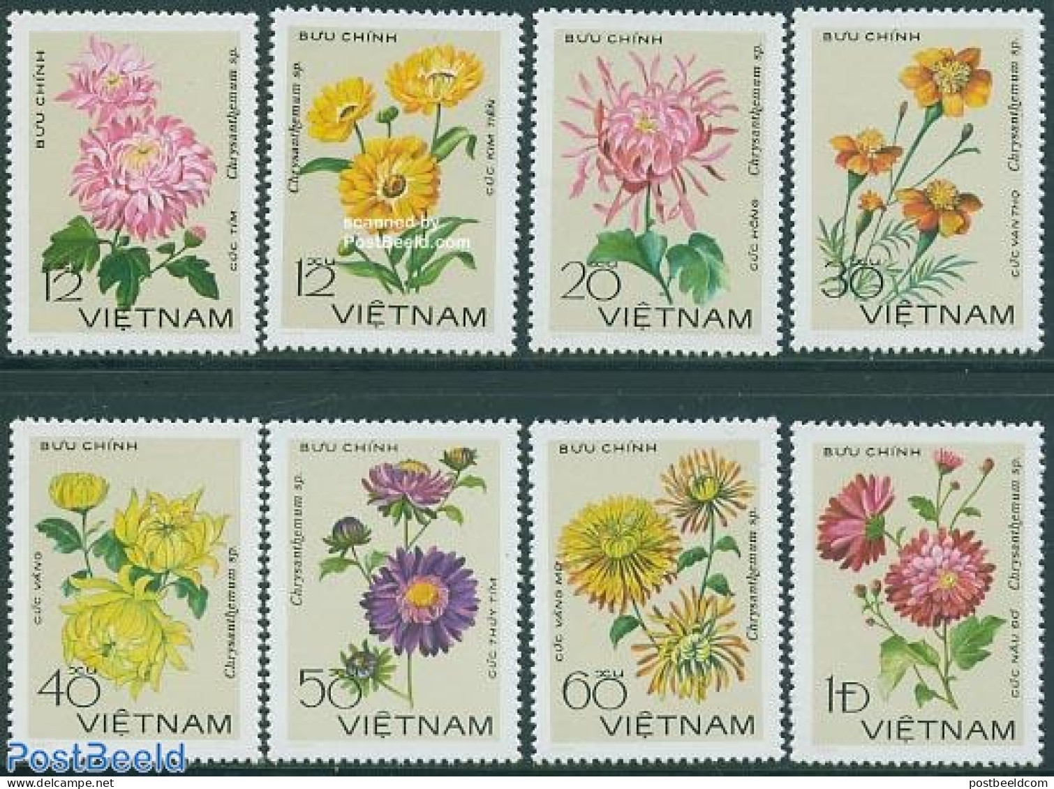 Vietnam 1978 Chrysants 8v, Mint NH, Nature - Flowers & Plants - Other & Unclassified