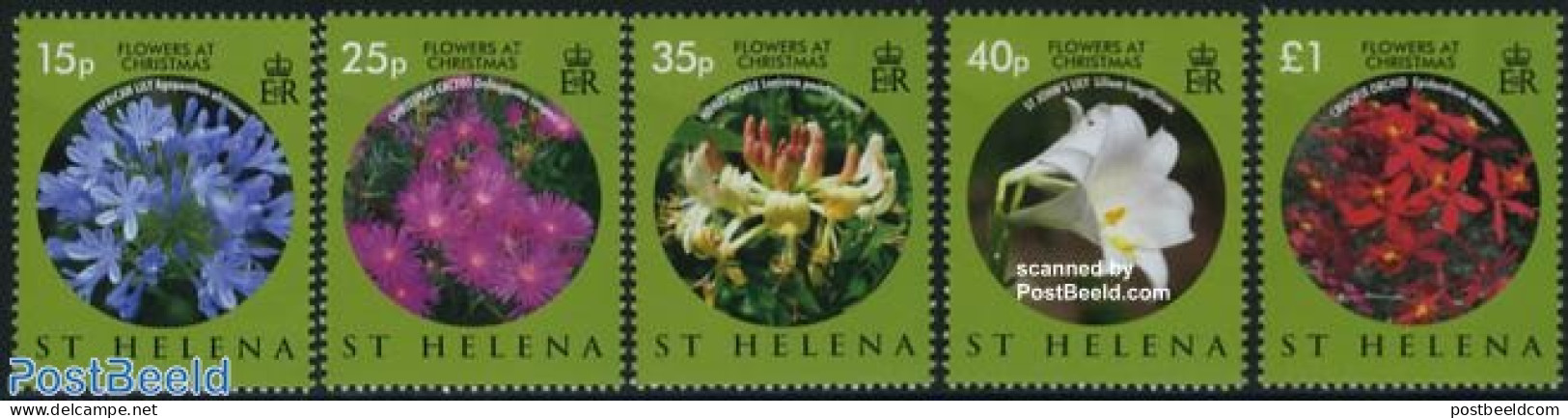 Saint Helena 2008 Christmas, Flowers 5v, Mint NH, Nature - Religion - Flowers & Plants - Christmas - Christmas