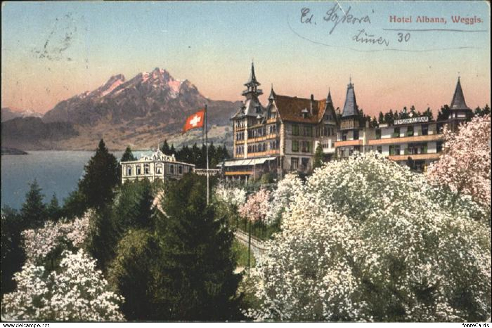 11026433 Weggis_Vierwaldstaettersee Hotel Albana - Other & Unclassified
