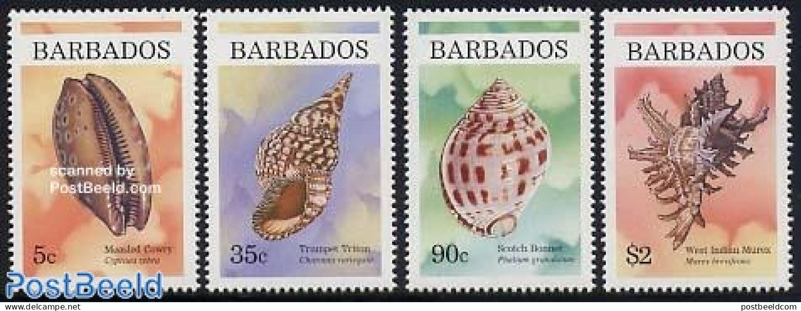 Barbados 1997 Shells 4v, Mint NH, Nature - Shells & Crustaceans - Marine Life