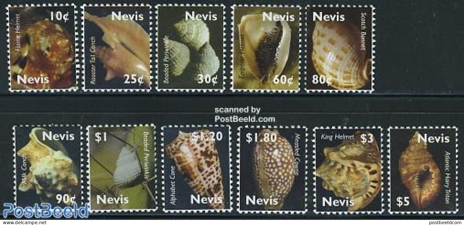 Nevis 2007 Definitives, Shells 11v, Mint NH, Nature - Shells & Crustaceans - Marine Life