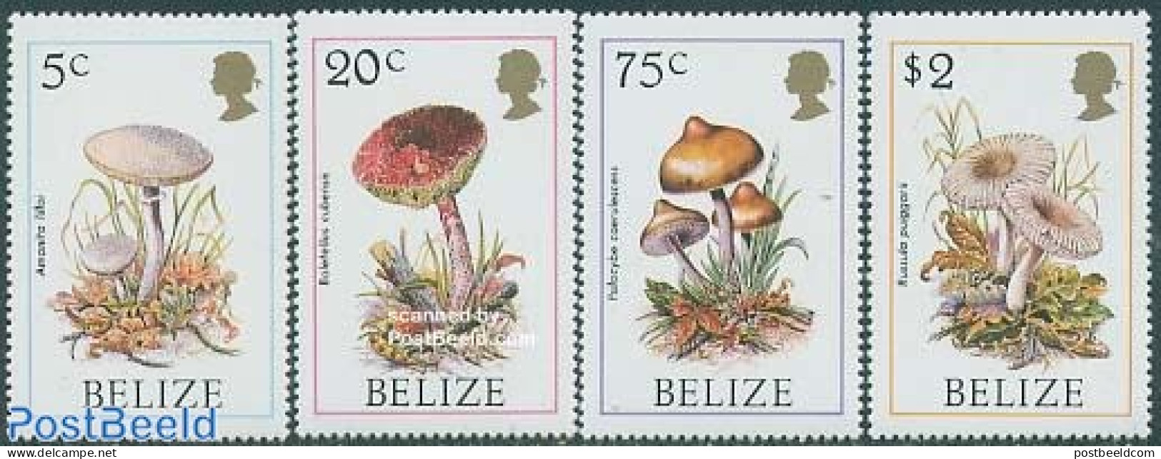 Belize/British Honduras 1986 Mushrooms 4v, Mint NH, Nature - Mushrooms - Champignons