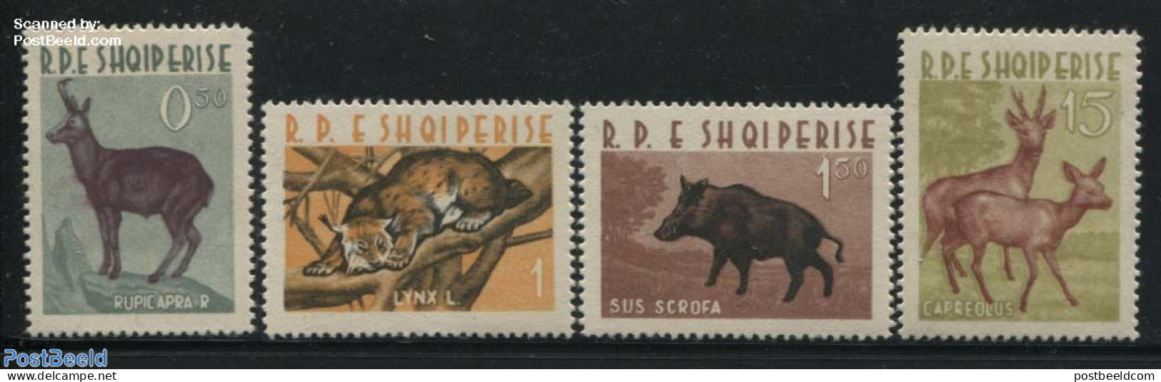 Albania 1962 Animals 4v, Mint NH, Nature - Animals (others & Mixed) - Cat Family - Deer - Albanie