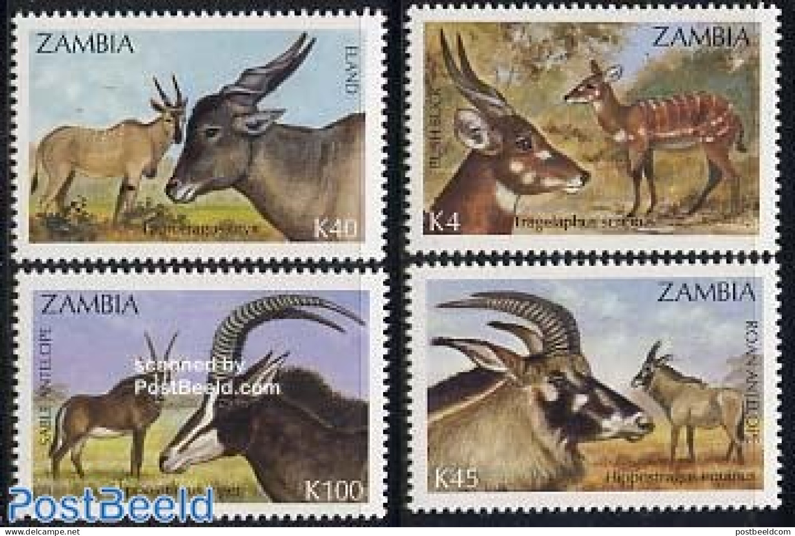 Zambia 1992 Antelopes 4v, Mint NH, Nature - Animals (others & Mixed) - Zambie (1965-...)