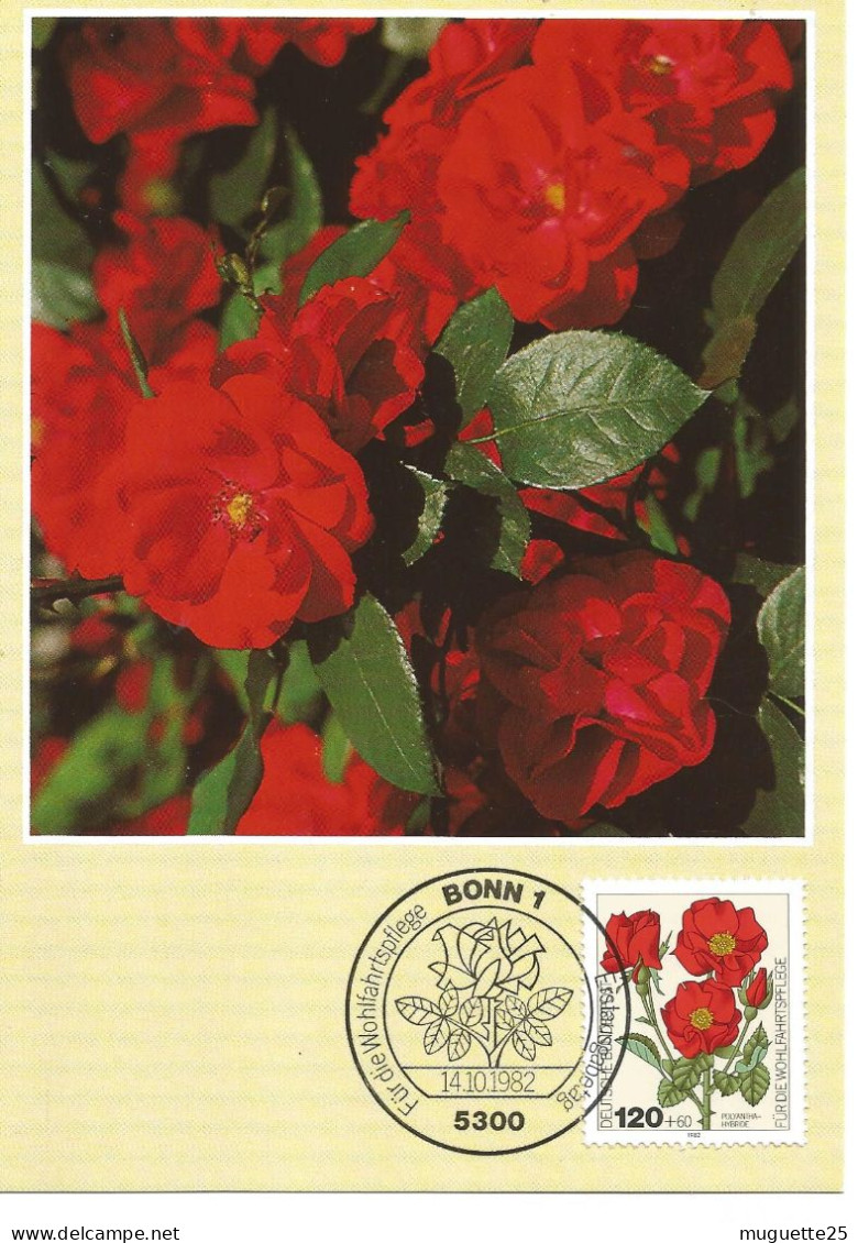 Carte Maximun Europe Sur Les Fleurs  Rose Coucou Plantes Médicinales Lot De 5 Variés - Andere-Europa