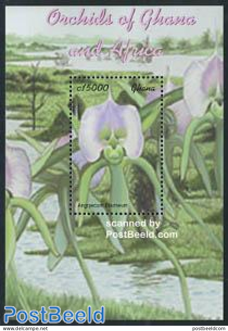 Ghana 2001 Orchids S/s, Angraecum Eburneum, Mint NH, Nature - Flowers & Plants - Orchids - Other & Unclassified