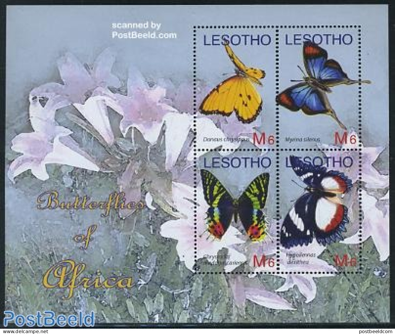 Lesotho 2007 Butterflies Of Africa 4v M/s, Mint NH, Nature - Butterflies - Lesotho (1966-...)