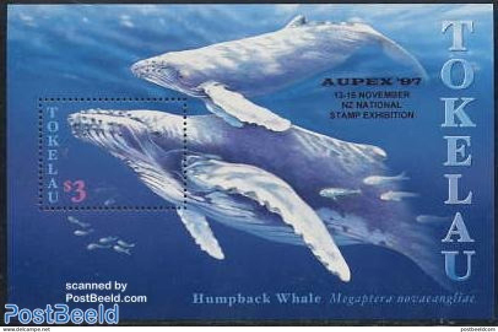 Tokelau Islands 1997 Aupex 97 S/s, Mint NH, Nature - Sea Mammals - Philately - Tokelau