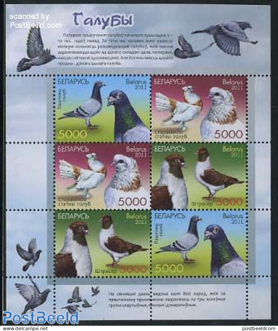 Belarus 2011 Pigeons M/s (with 2 Sets), Mint NH, Nature - Animals (others & Mixed) - Birds - Bielorussia