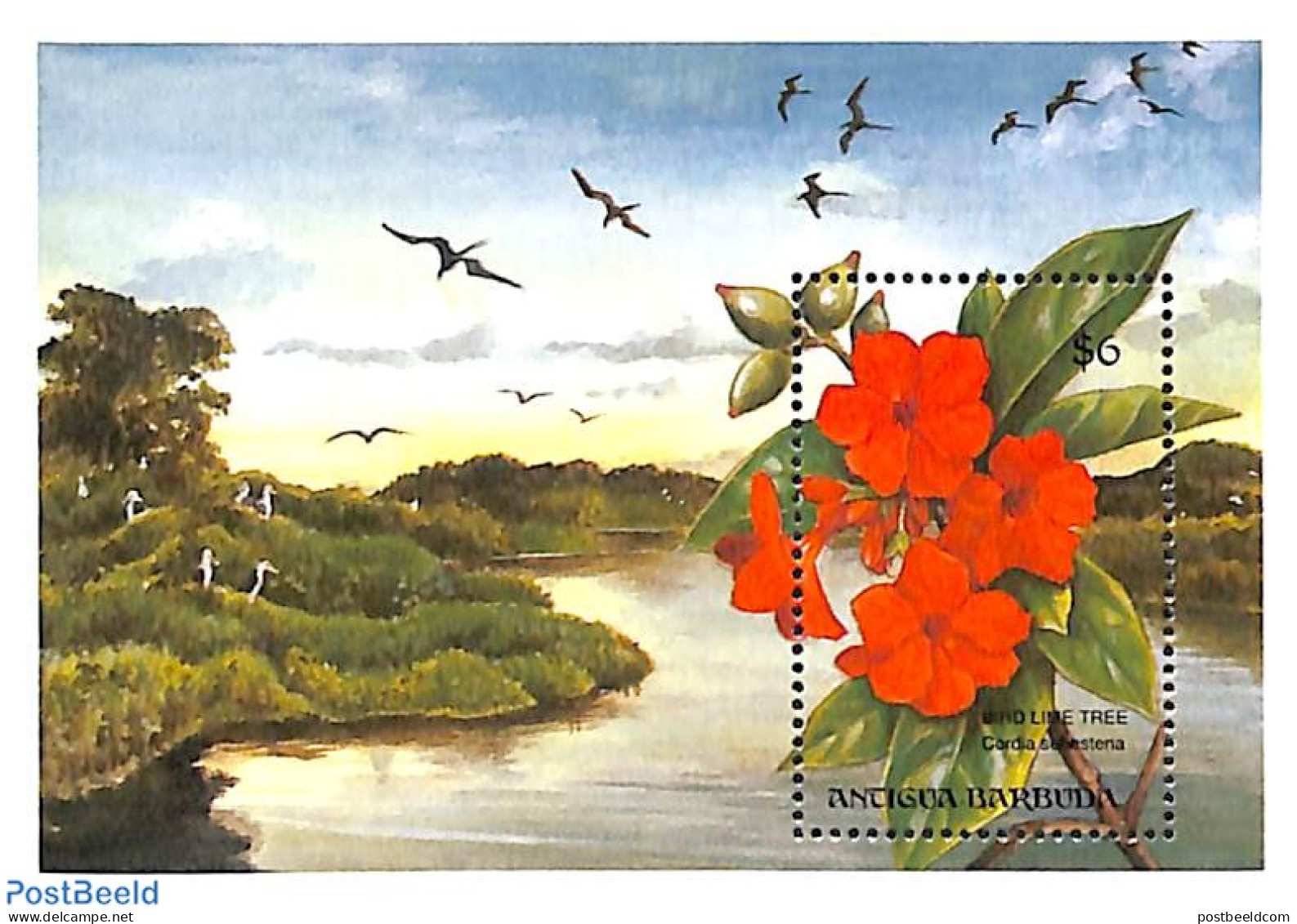 Antigua & Barbuda 1993 Cordia Sebestena S/s, Mint NH, Nature - Birds - Flowers & Plants - Antigua Et Barbuda (1981-...)