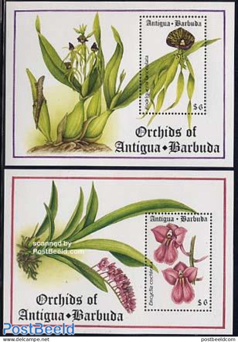 Antigua & Barbuda 1994 Orchids 2 S/s, Mint NH, Nature - Flowers & Plants - Orchids - Antigua Et Barbuda (1981-...)