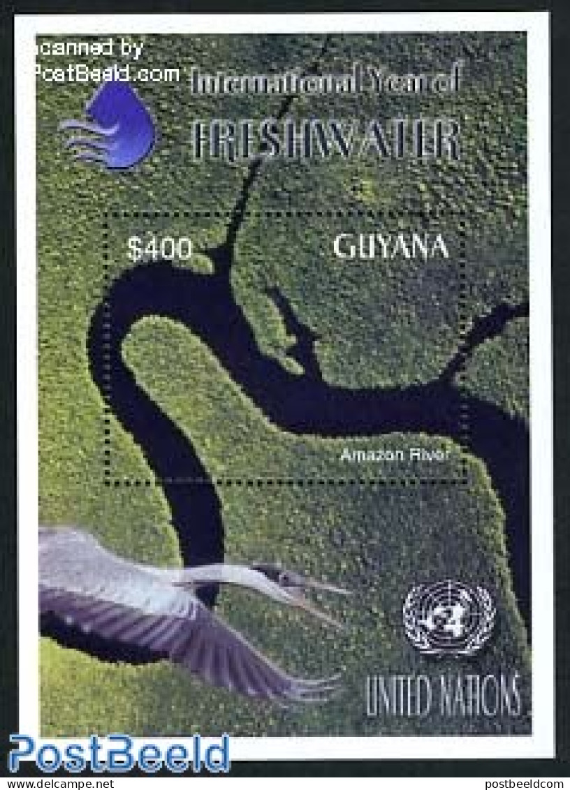 Guyana 2003 Int. Year Of Fresh Water S/s, Mint NH, Nature - Water, Dams & Falls - Guyane (1966-...)