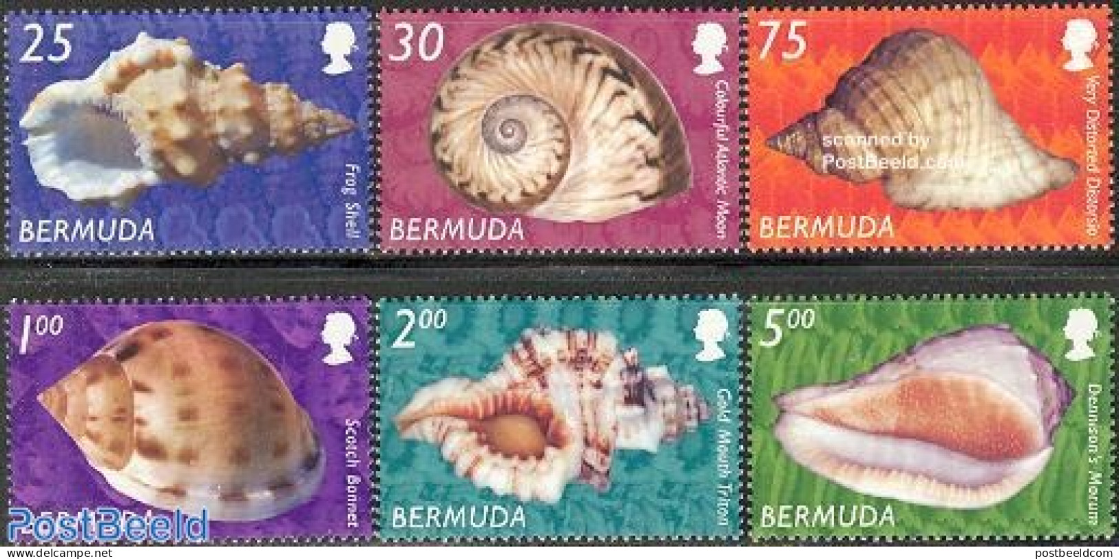 Bermuda 2003 Shells 6v, Mint NH, Nature - Shells & Crustaceans - Vie Marine