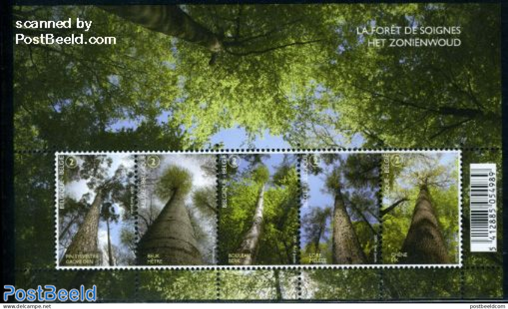Belgium 2009 Protected Forest 5v M/s, Mint NH, Nature - Trees & Forests - Nuovi