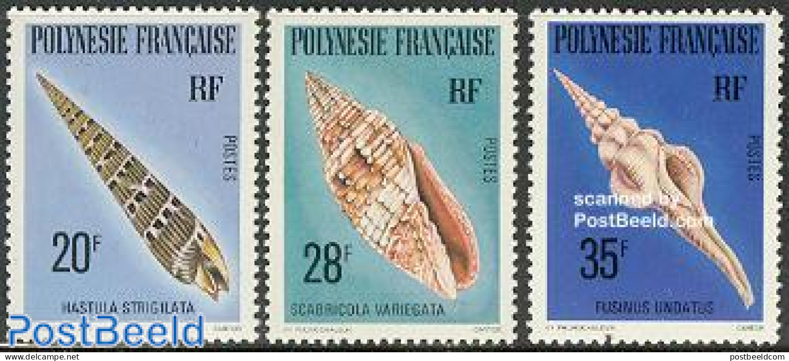 French Polynesia 1979 Shells 3v, Mint NH, Nature - Shells & Crustaceans - Unused Stamps