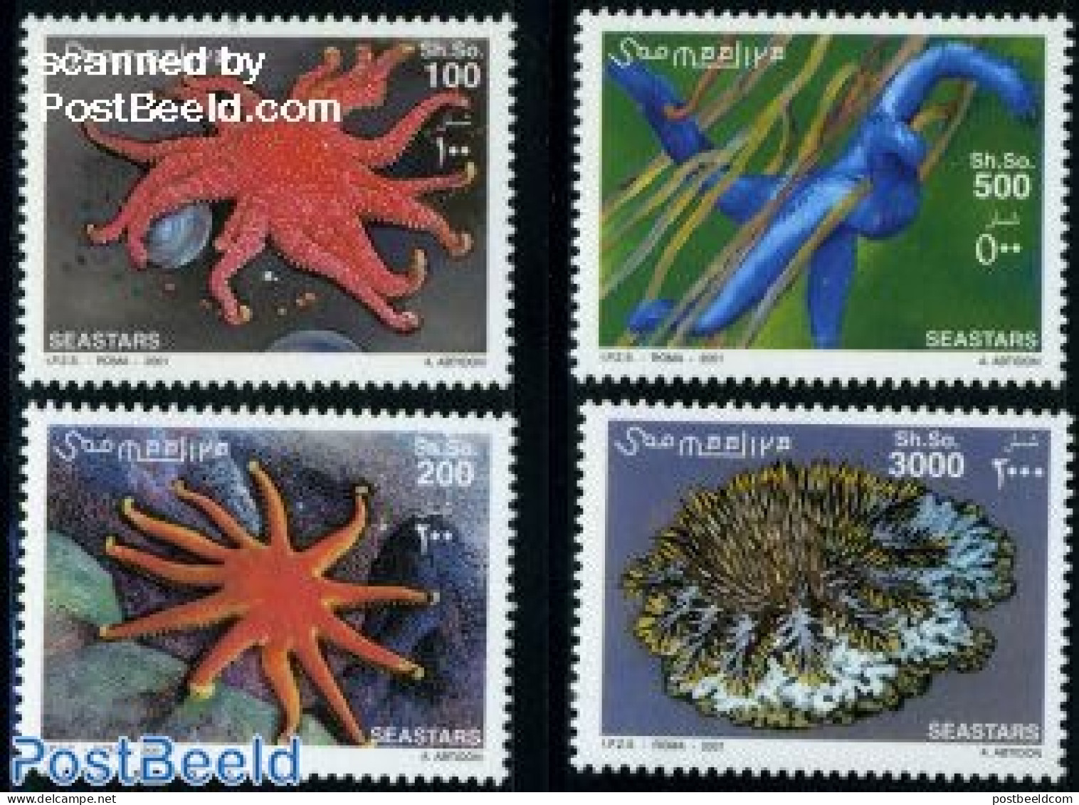 Somalia 2001 Starfish 4v, Mint NH, Nature - Shells & Crustaceans - Vie Marine