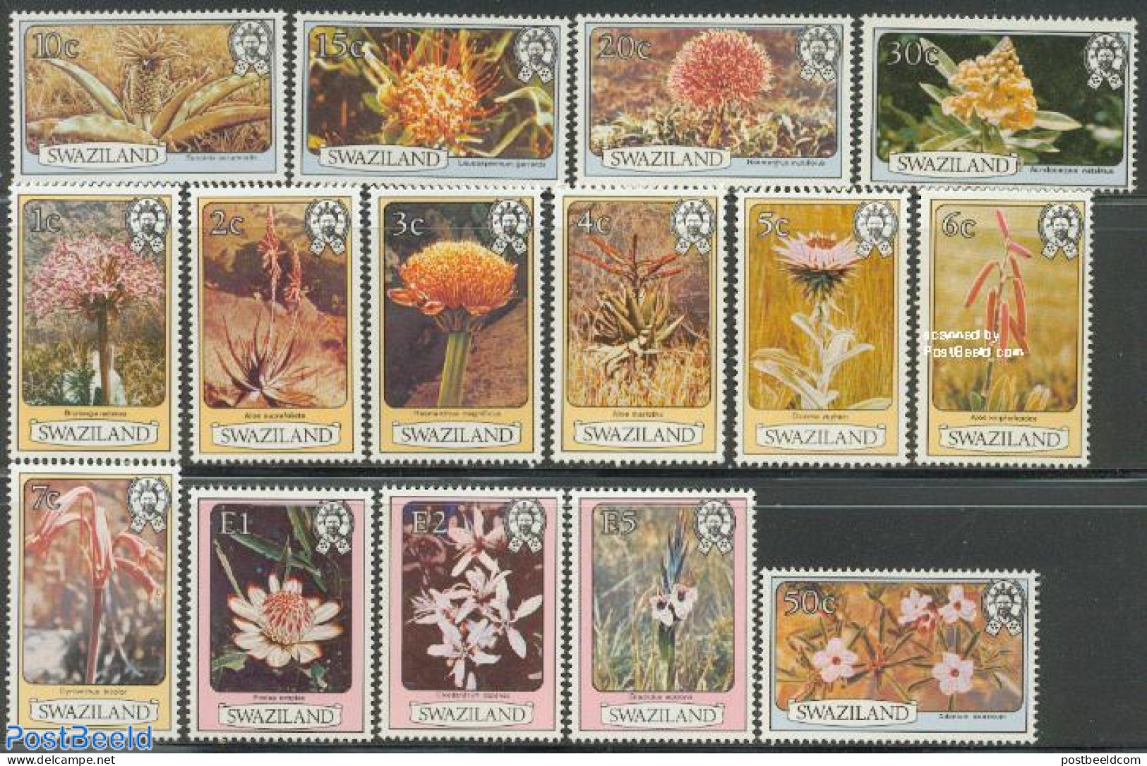 Eswatini/Swaziland 1980 Definitives, Flowers 15v (without Year), Mint NH, Nature - Flowers & Plants - Swaziland (1968-...)