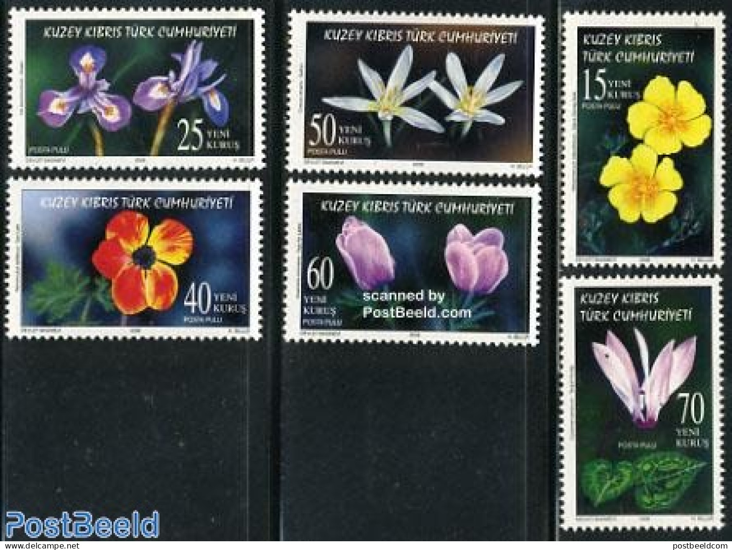 Turkish Cyprus 2006 Wild Flowers 6v, Mint NH, Nature - Flowers & Plants - Other & Unclassified