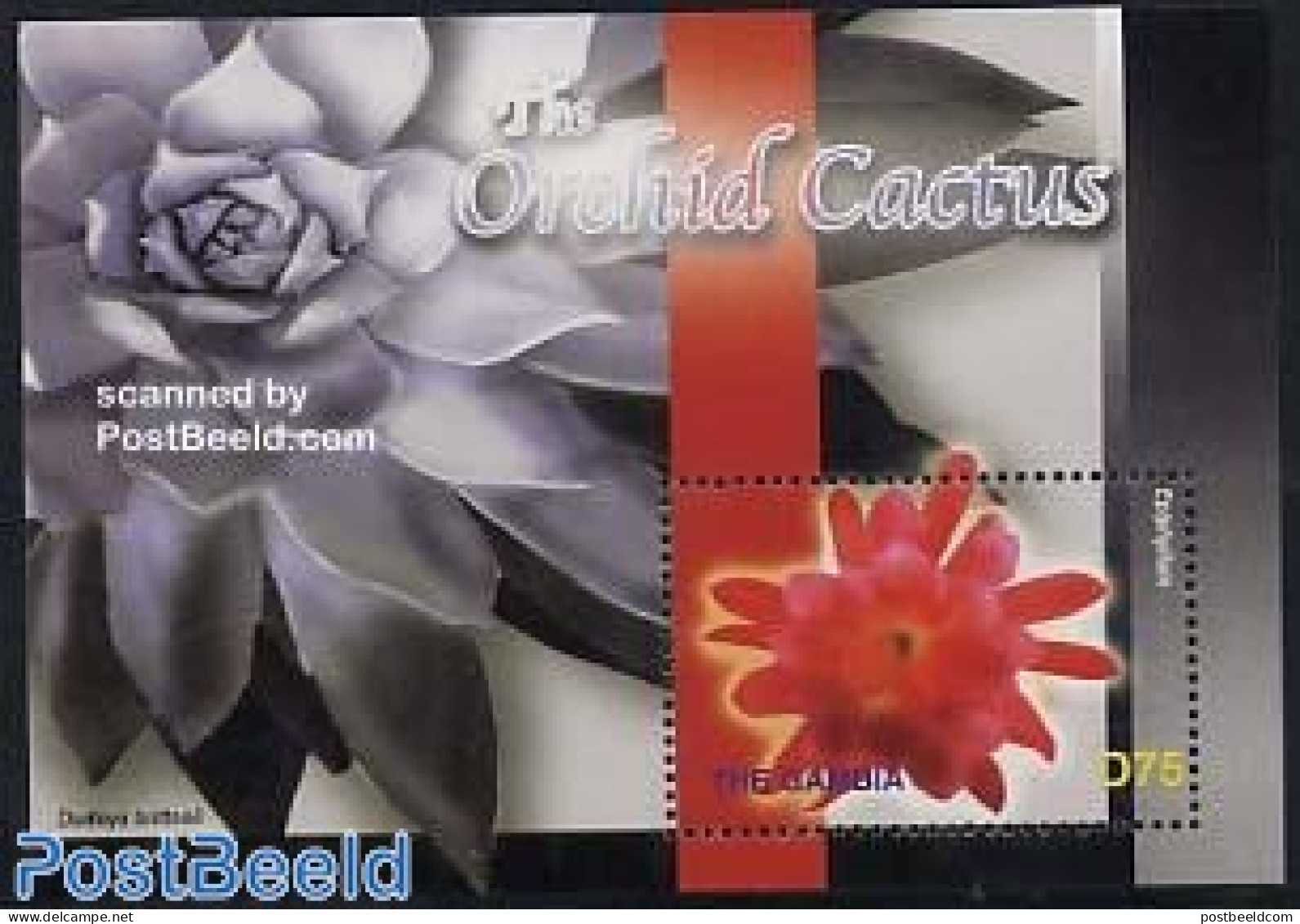 Gambia 2004 Orchid Cactus S/s, Epiphyllum S/s, Mint NH, Nature - Cacti - Flowers & Plants - Orchids - Cactusses