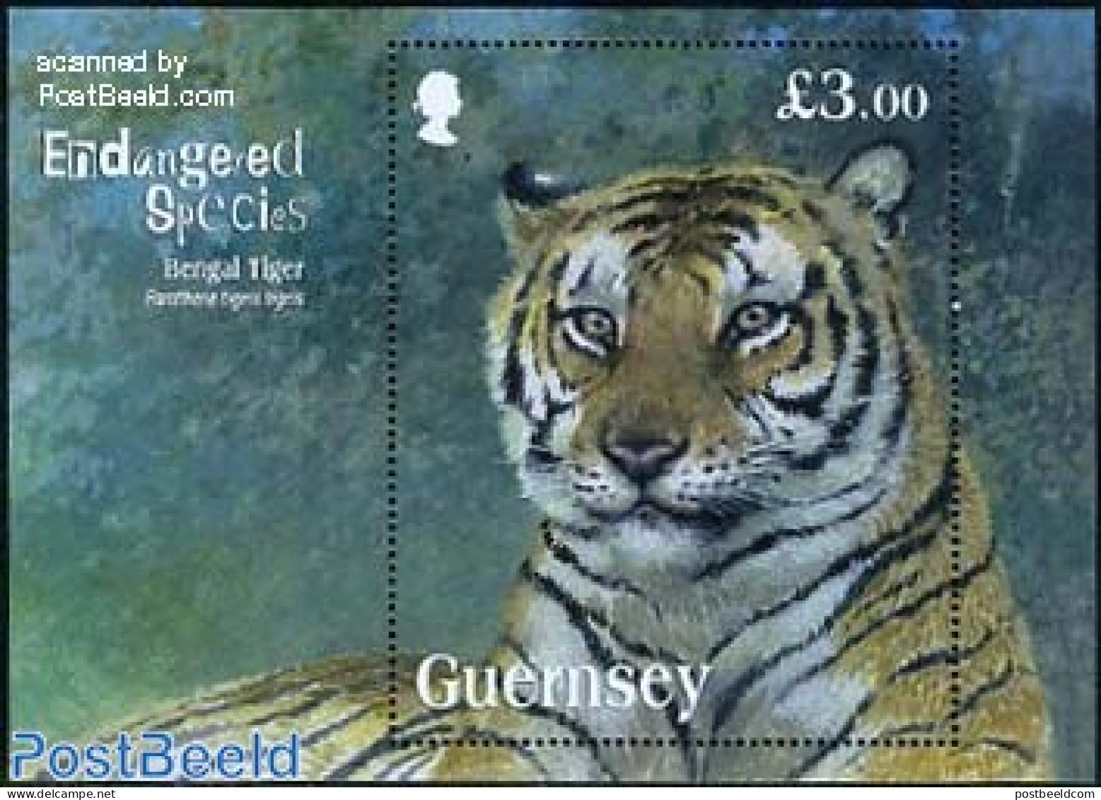 Guernsey 2012 Endangered Species, Bengal Tiger S/s, Mint NH, Nature - Animals (others & Mixed) - Cat Family - Guernsey