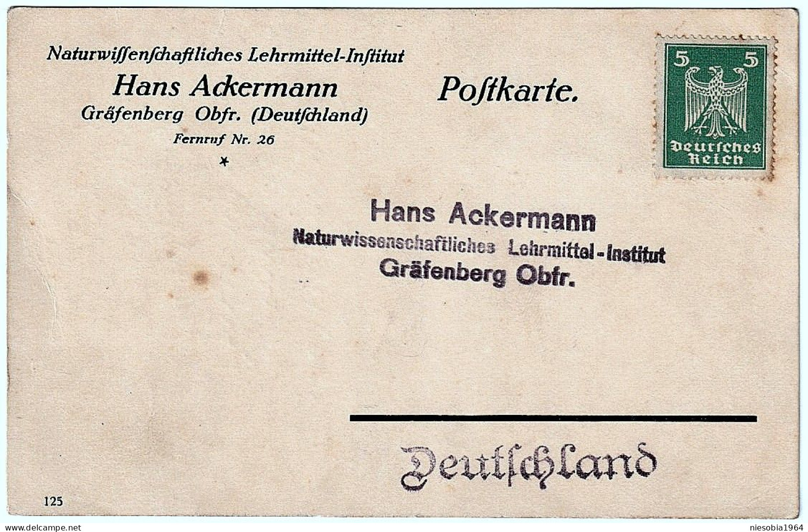 Firmen Postkarte Hans Ackermann Naturwissenschaftlisches Lehrmittel Insitut Grafenberg Briefmarke DR 5 Pf - Postcards