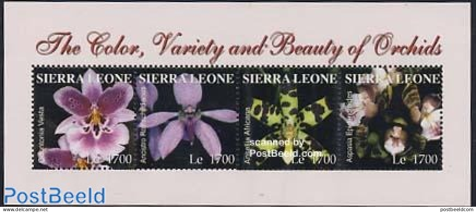 Sierra Leone 2004 Orchids 4v M/s, Mint NH, Nature - Flowers & Plants - Orchids - Other & Unclassified