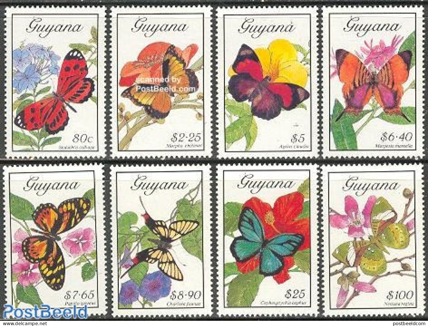 Guyana 1989 Butterflies 8v, Mint NH, Nature - Butterflies - Guyana (1966-...)