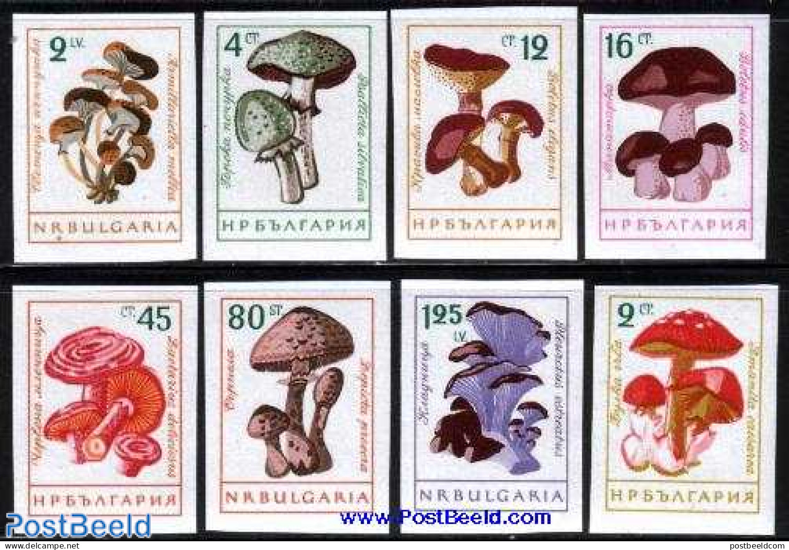 Bulgaria 1961 Mushrooms 8v Imperforated, Mint NH, Nature - Mushrooms - Ungebraucht